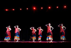 Leela Indian Fusion tanz auftritte Zürich Schweiz Bollywood Indische Folkare BharataNatyam