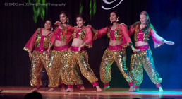 SADC NACHLE Bollywood dance show performance in Switzerland in beautiful dance costumes providing Indian entertainment and promoting Art through Indian Folk, classical fusion and Bollywood dance workshops, classes, events and performances