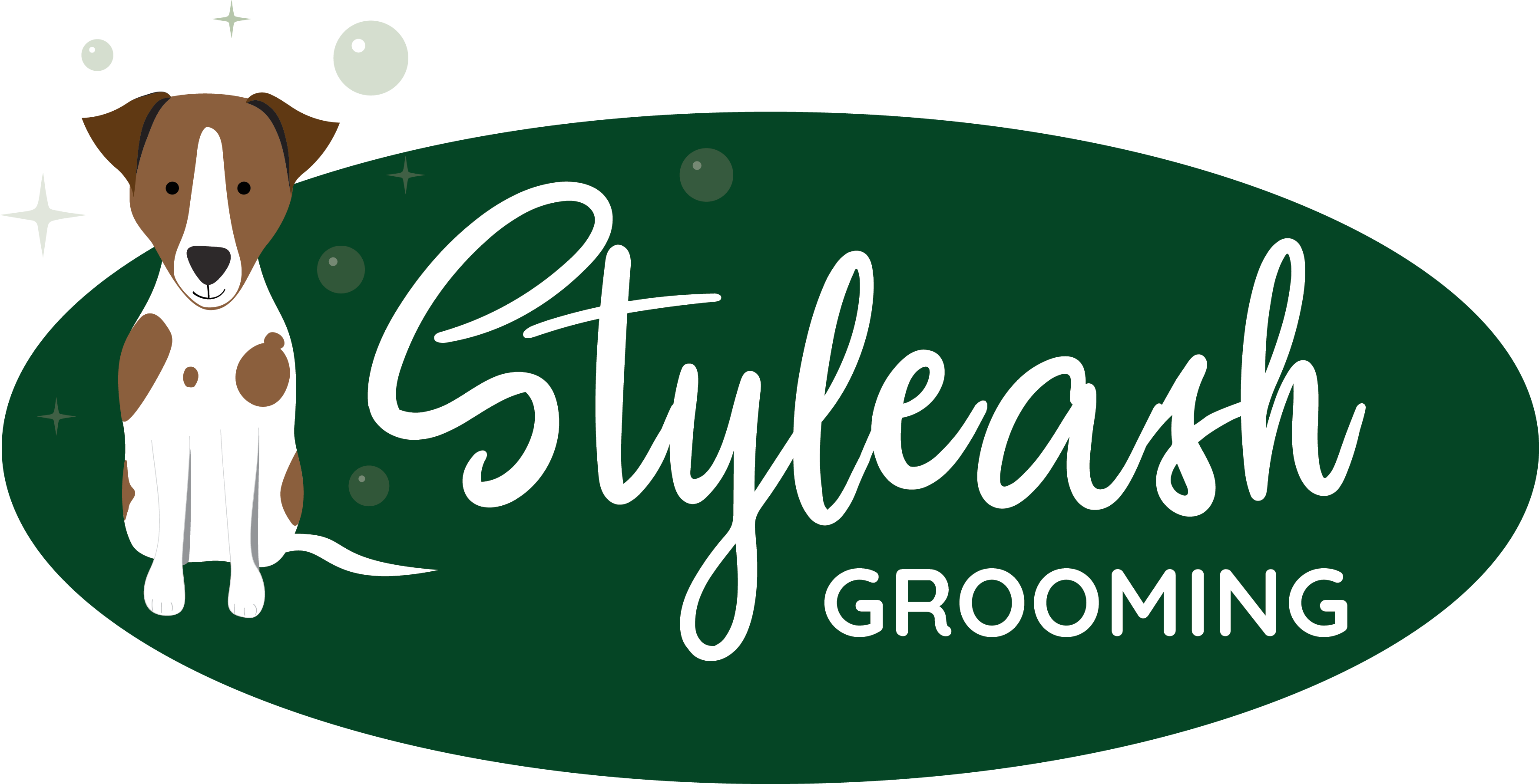 Styleash Grooming