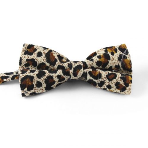 Snepard Butterfly