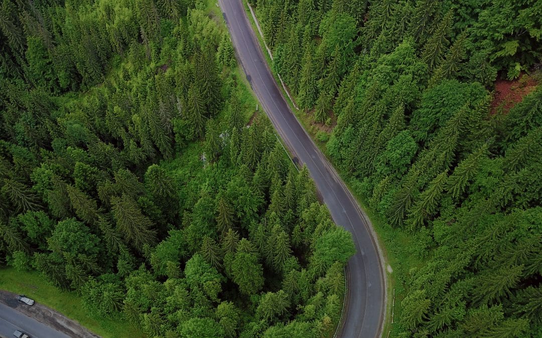 ”Det har aldrig varit lättare att ställa om till fossilfritt än nu”