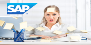 issue management in SAP projects