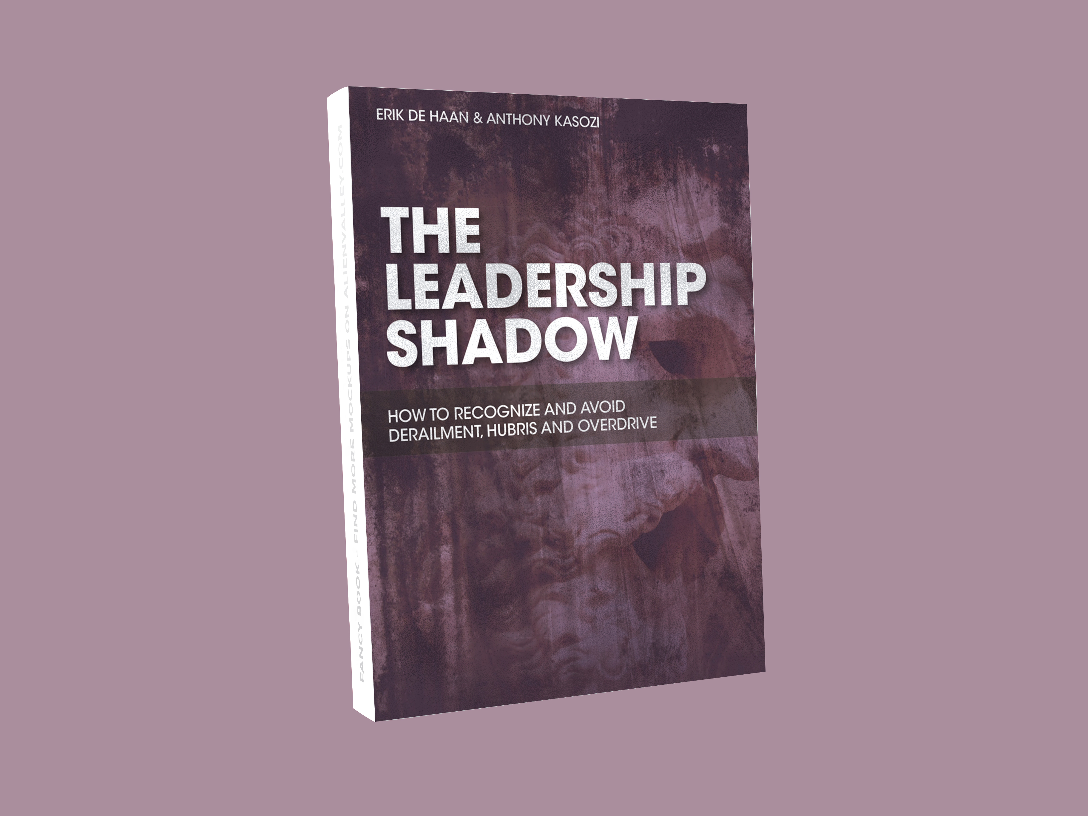 Leadership Shadow Sugarloaf Coaching & Consulting