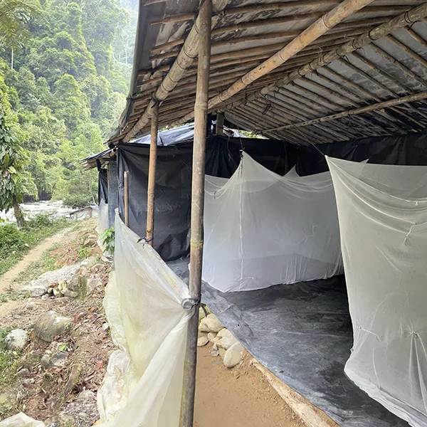 makeshift shelter with bamboo structure and tarp walls, equipped with mosquito nets, set against the lush backdrop of the sumatran jungle