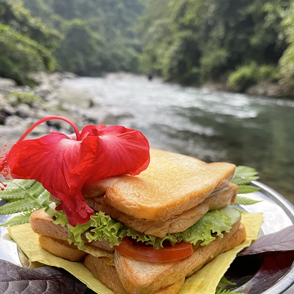 Sandwich with fresh lettuce and tomato, garnished with a red hibiscus flower, presented on a leaf with a blurry river and jungle background in Sumatra.