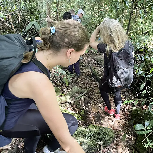 Hikers carefully navigating a rugged trail in the Sumatran jungle with focus and determination.