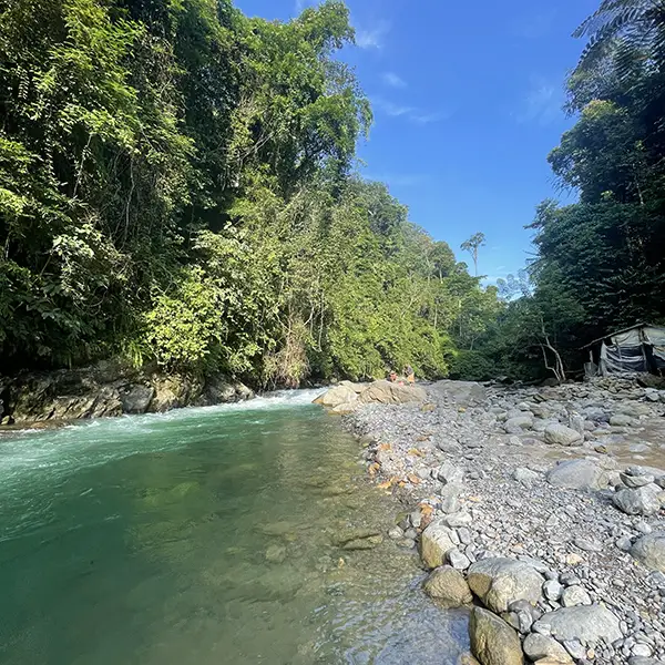 Crystal-clear river meandering through a rocky riverbed with lush tropical forest on either side under a clear blue sky in Sumatra.
