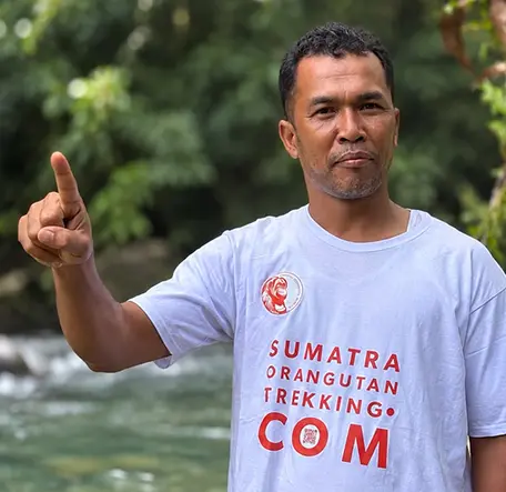 Ongat1 Sumatra Orangutan Trekking