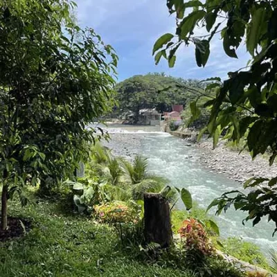 view from the hotel restaurant to the Bukit Lawang river