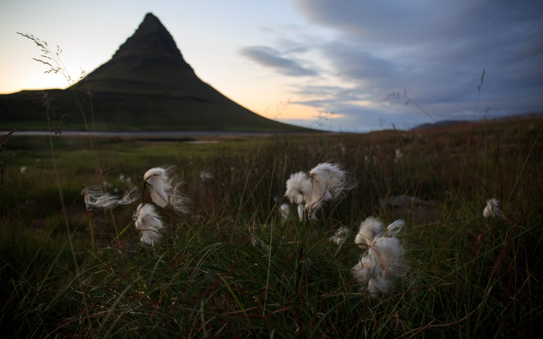 Landscapes