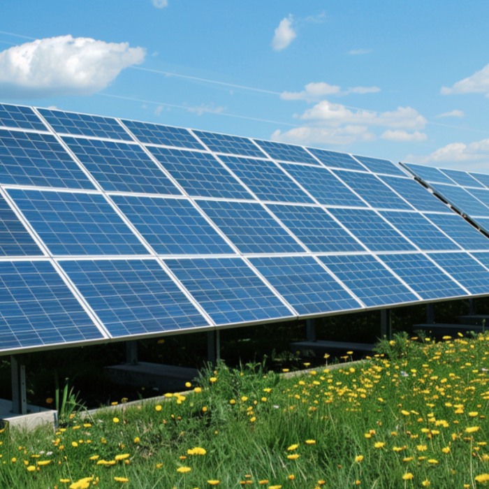 Optimera din investering: Tips för att maximera avkastningen på solceller