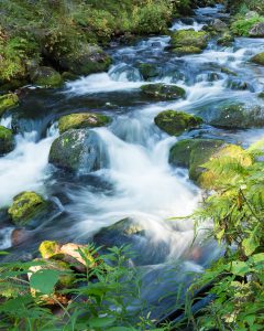 Fulufjällets Nationalpark