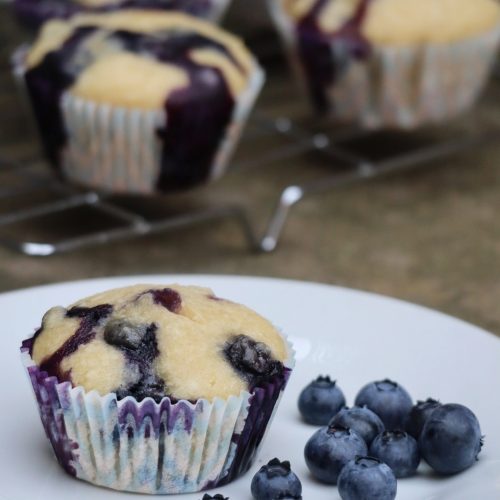 Whole wheat blueberry and coconut muffins