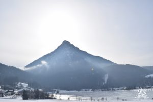 Rodelbahn mit Ausblick auf Bergpanorama