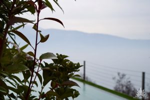 Private Pool Lefay Suite