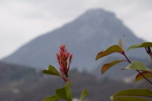 sunnylifemoments_lefay_resort_lefayresort_gardasee_lakegardasee_auszeit_wellness_infinitpool_berge_mountain