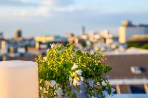 sunnylifeamoments_wien_ritz_carlton_ritzcarlton_rooftop_bar_atmosphere_garden_motivation_hugo