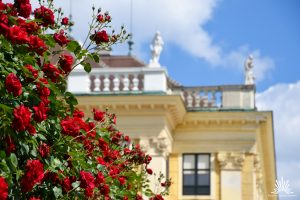 Garten Schloss Schönbrunn