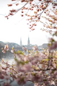 Hamburg Alster