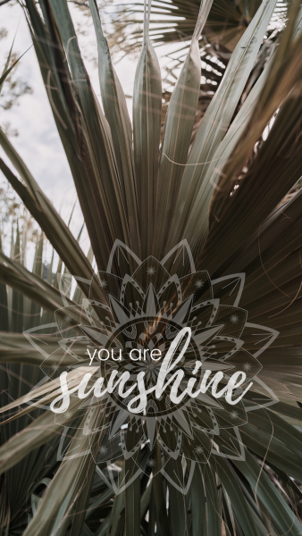 Sunshine Wallpaper