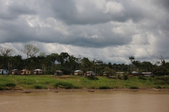 Amazon river