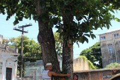 Tree huggers!