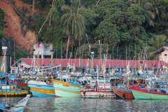 Mirissa Harbor