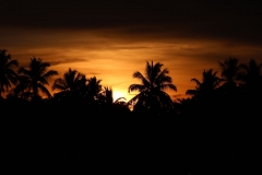 Sunrise at Mirissa Harbor