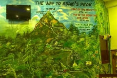 The way to Adam's peak