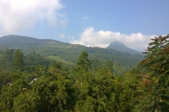 View on Adam's peak from Wathsala Inn