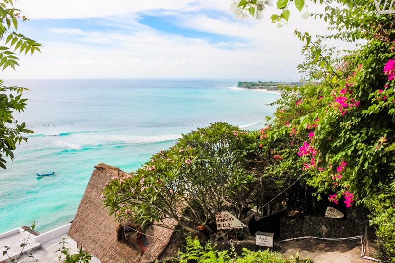 View from the top of the cliff at Bingin Beach, overlooking a Hibiscus tree and turquoise water, one of the coolest beaches in Uluwatu.