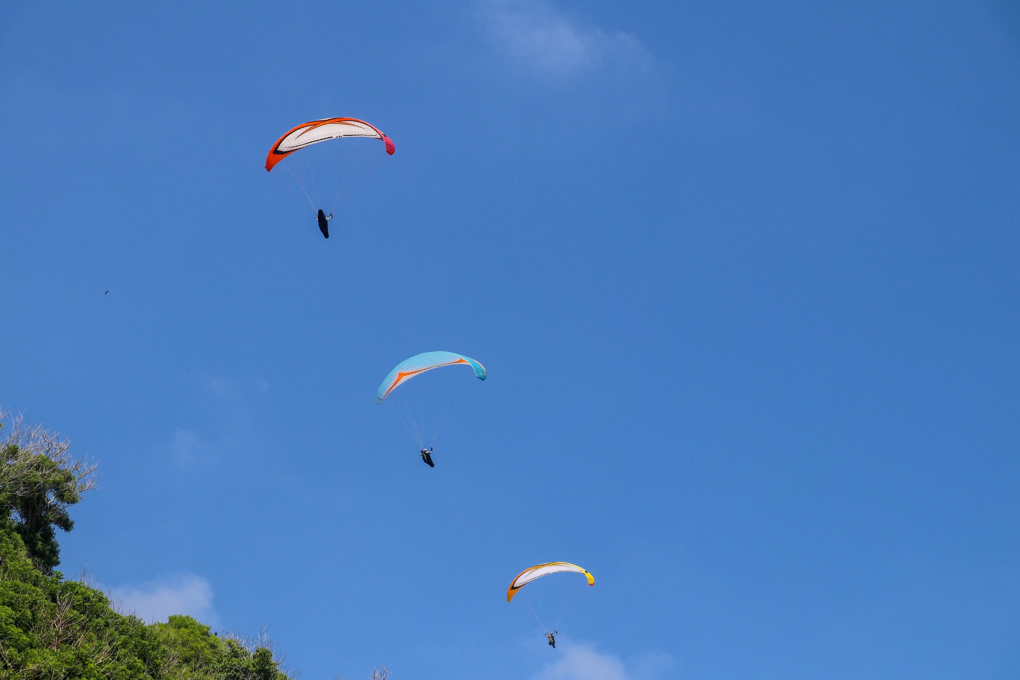 Three paragliders seen from below on a sunny day. Paragliding is one of the best things to do on Lombok.