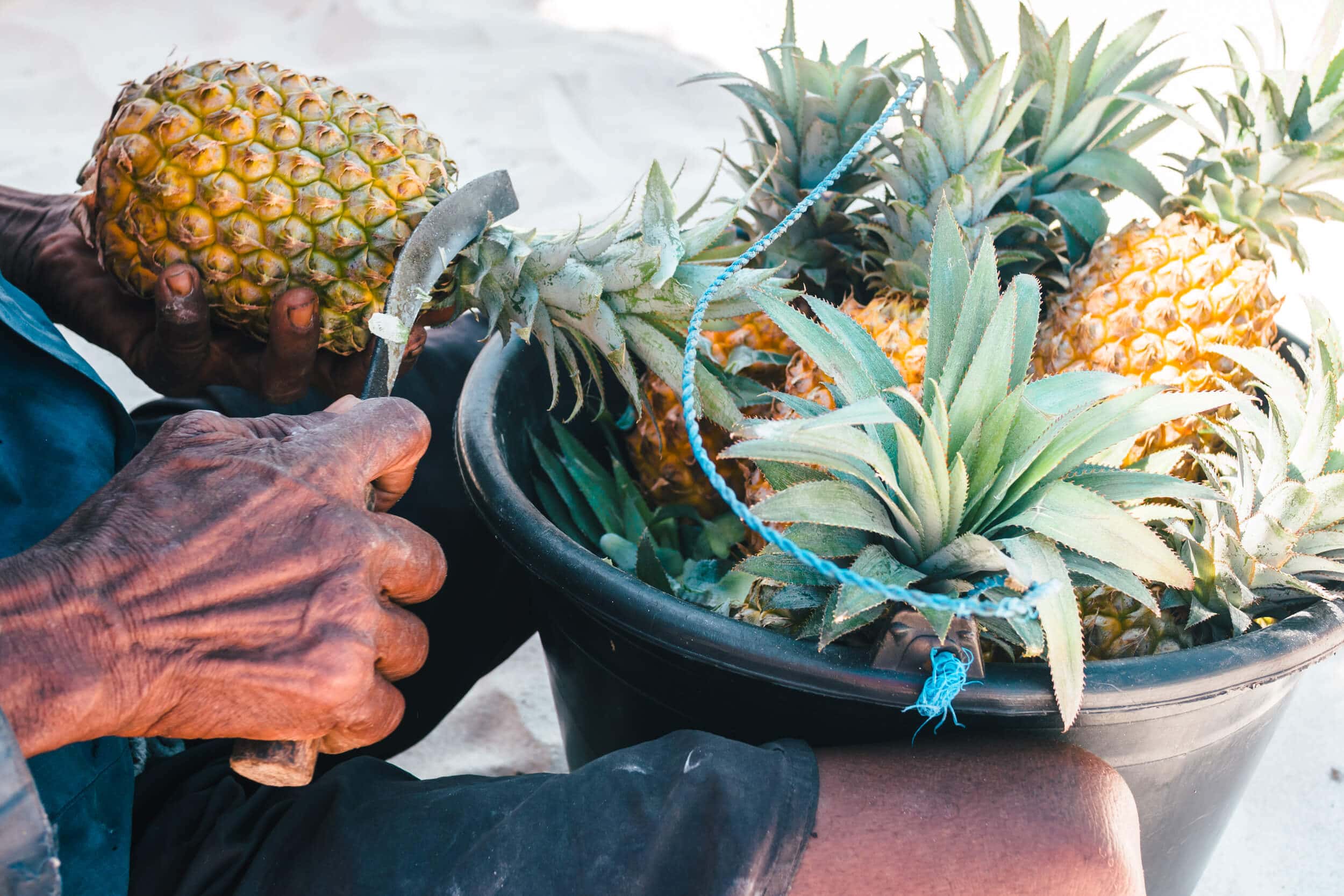 The super sweet baby pineapples you can buy at Tanjung Aan Beach