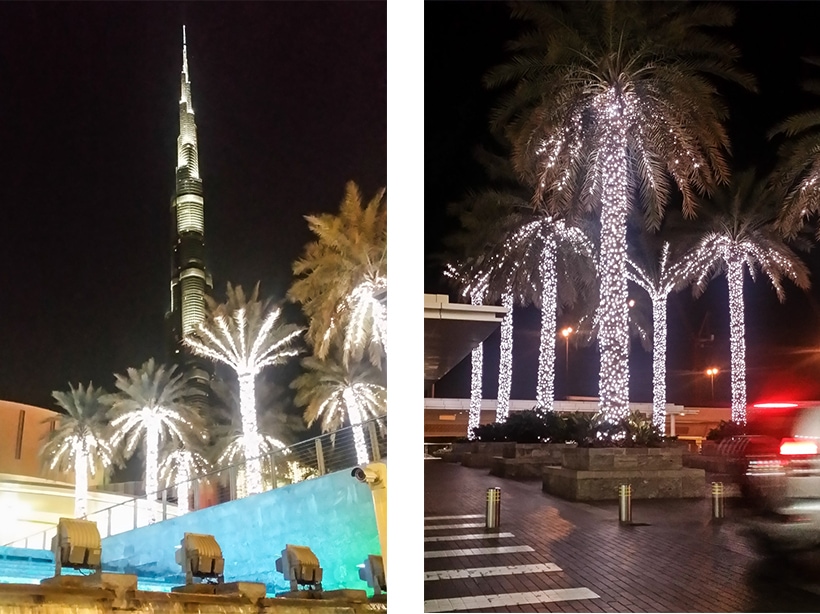 Burj Khalifa and palm trees at Dubai Mall by night