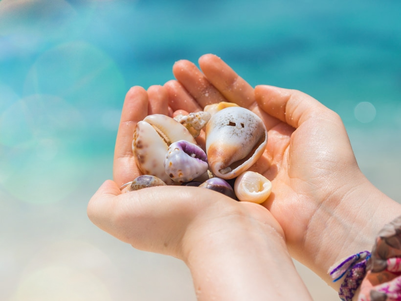 Collecting seashells at Secret Beach Nusa Ceningan