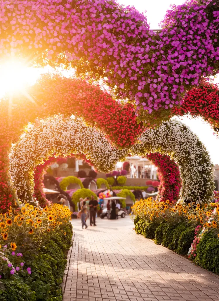 Walkway under large heart-shaped flower arches at sunset in Dubai Miracle Garden during your two days in Dubai.