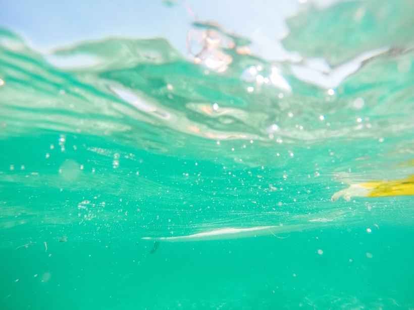 Paddle Boarding Nusa Lembongan Paradise