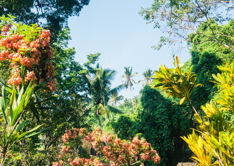 Pura Gunung Kawi - My favorite Bali attraction