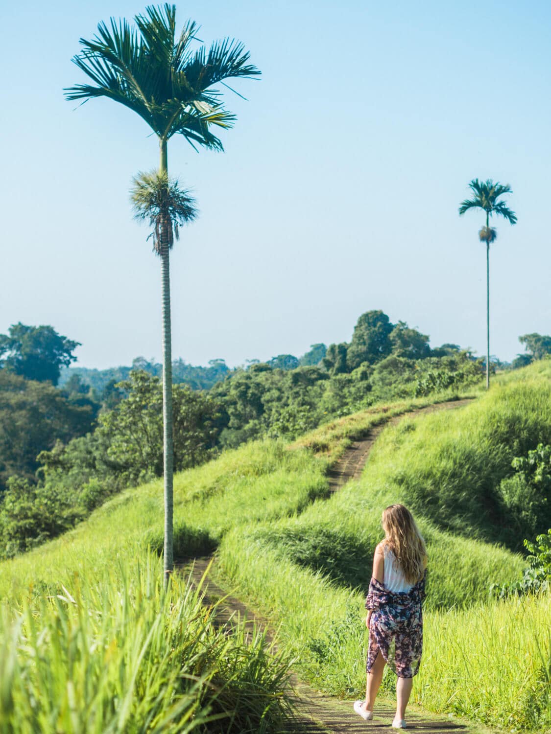 Girl walking in a purple kimono on the vibrant green Campuhan Ridge Walk early in the morning - 4 day Ubud itinerary