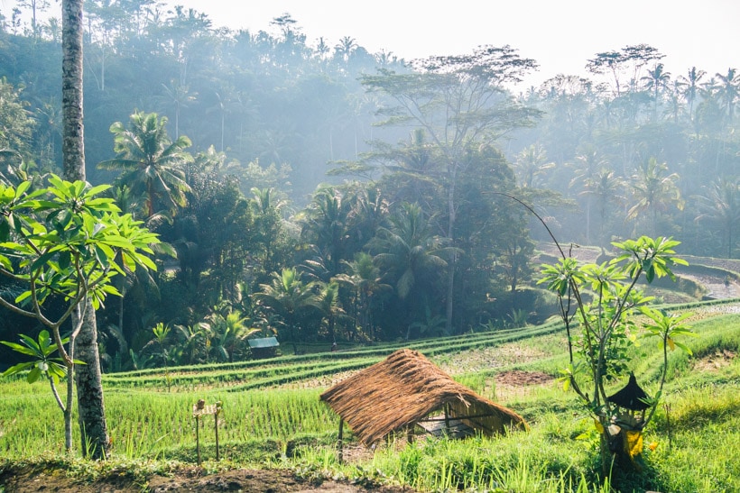 Pura Gunung Kawi - My favorite temple in Ubud Bali