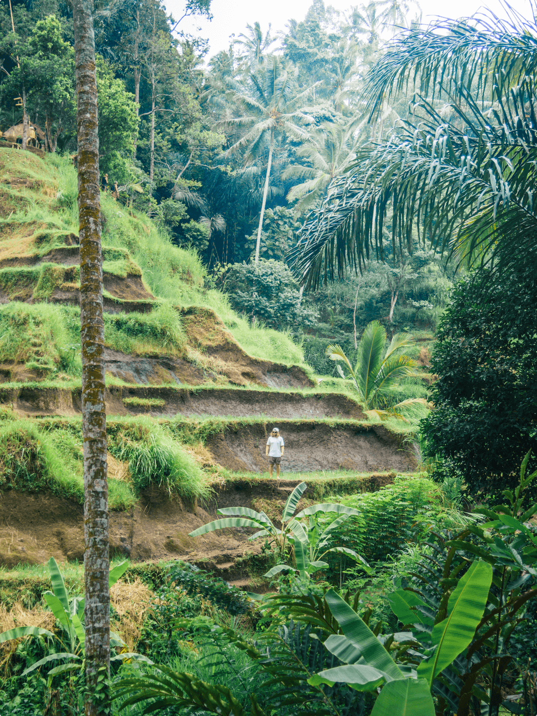 Tegalalang Rice Terrace is a must for anyone coming to Ubud for the first time 