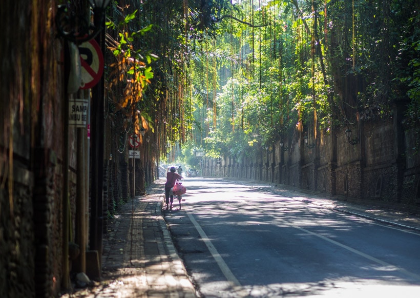 The mysterious streets of Ubud Bali - A first timer's guide