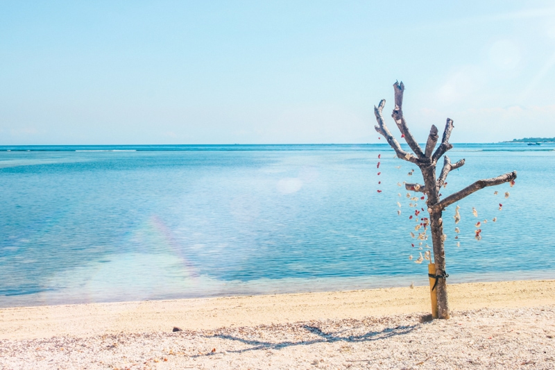 Which Gili Island is the best? A first timer's guide. Beautiful seashell decorations on the beach in Gili Air