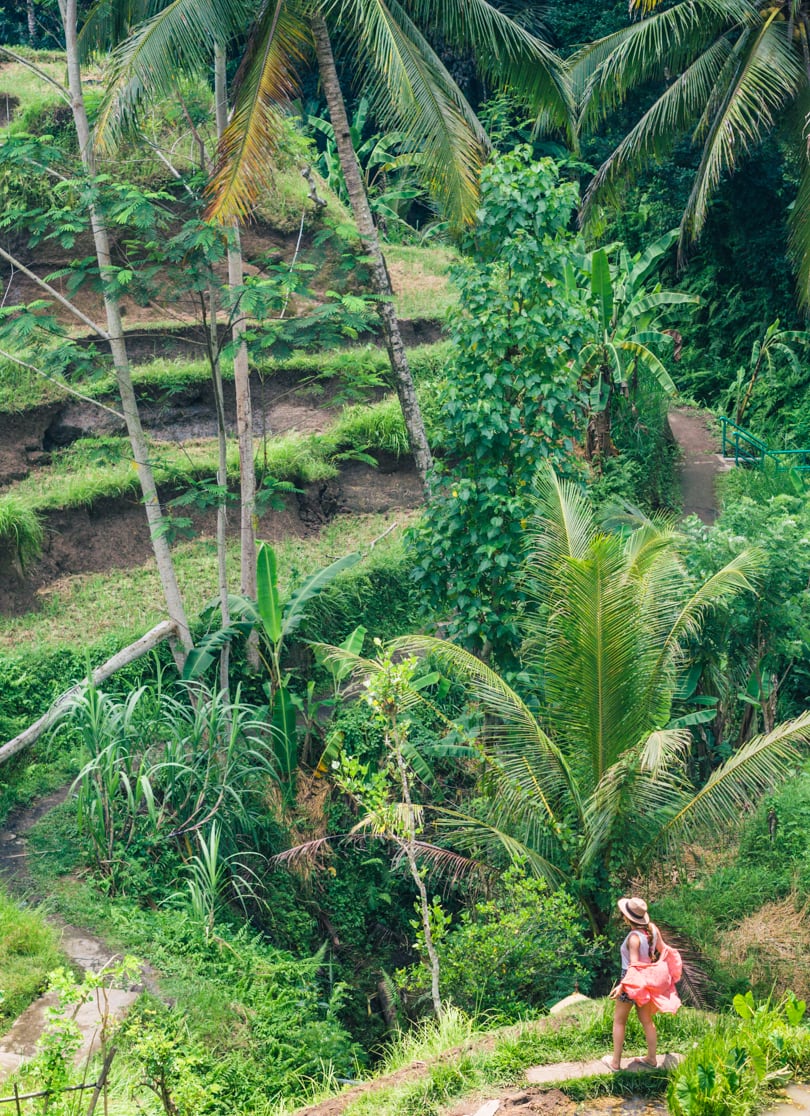 Tegalalang Rice Terrace in Ubud Bali - A must see or skip?