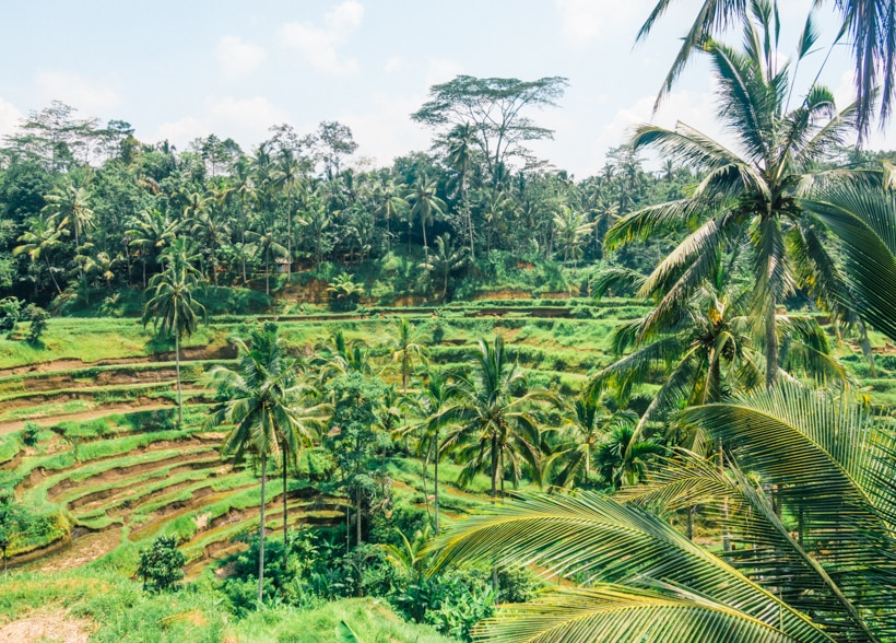 Tegalalang Rice Terrace in Ubud Bali - A must see or skip?