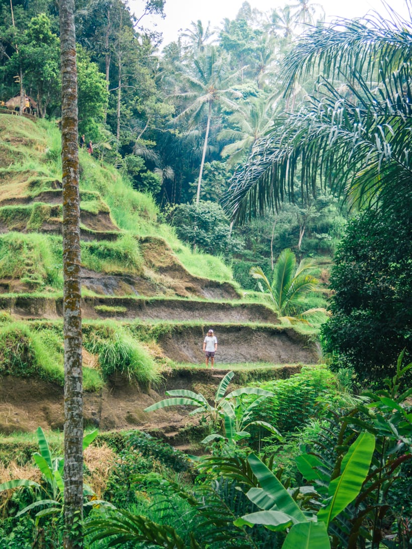 Tegalalang Rice Terrace in Ubud Bali - A must see or skip?