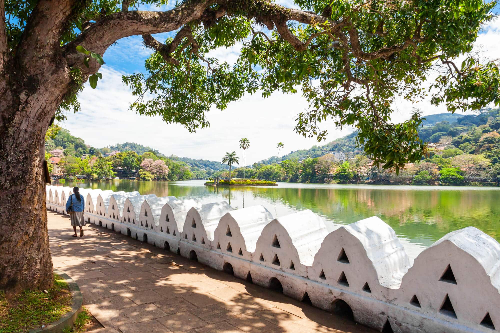 View of a white wall surrounding the green Kandy Lake, a woman wearing a skirt and blue shirt walking away under a tree, one of the best places to visit in Kandy.