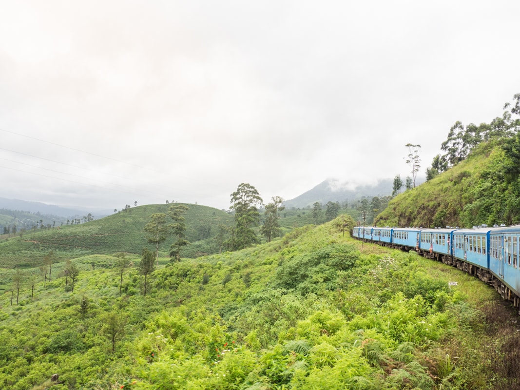 View of the blue train from Kandy to Ella driving through the lush green countryside, one of the best things to do in Kandy.
