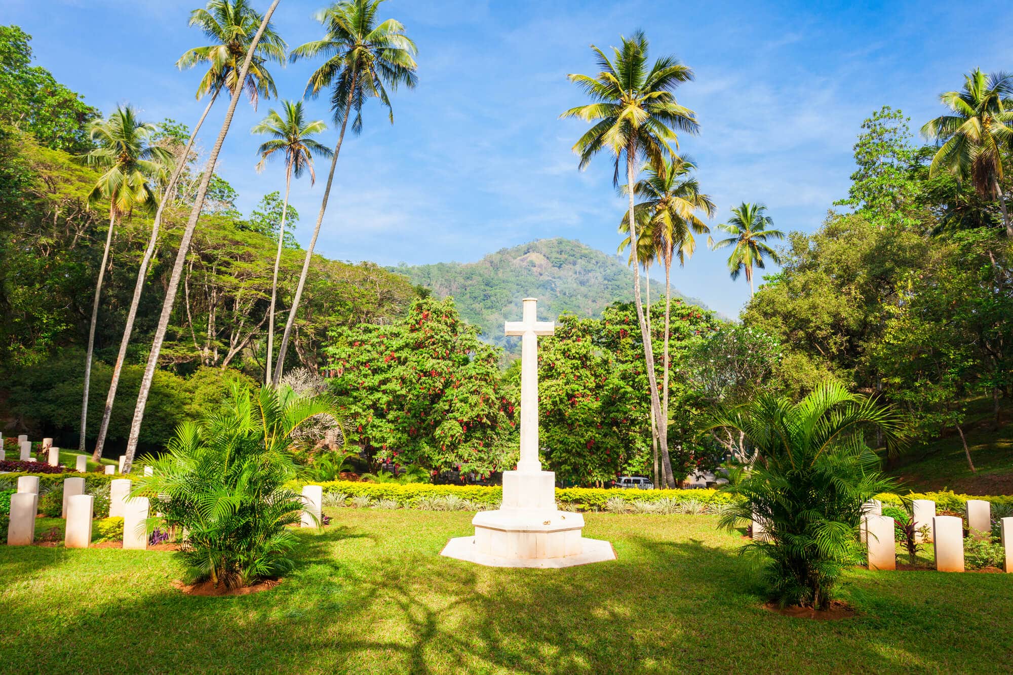 White stone cross surrounded by white tombstones and tall palm trees in the background at the Commonwealth War Cemetery, one of the best places to visit in Kandy.
