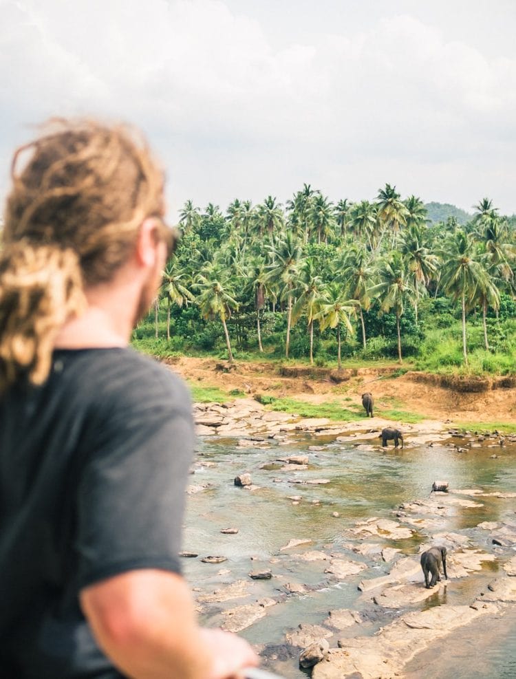 My experience with the elephants of Pinnawala, Sri Lanka - View from Hotel Elephant Park